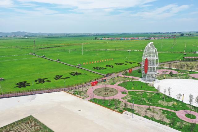 吉林省绿色水稻种植面积近500万亩