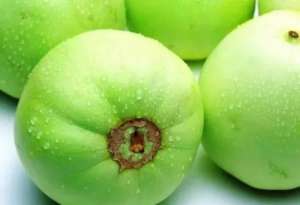 韩国bf种植体(香瓜（甜瓜） 一种五颜六色的水果瓜（种植技术和田间管理）)