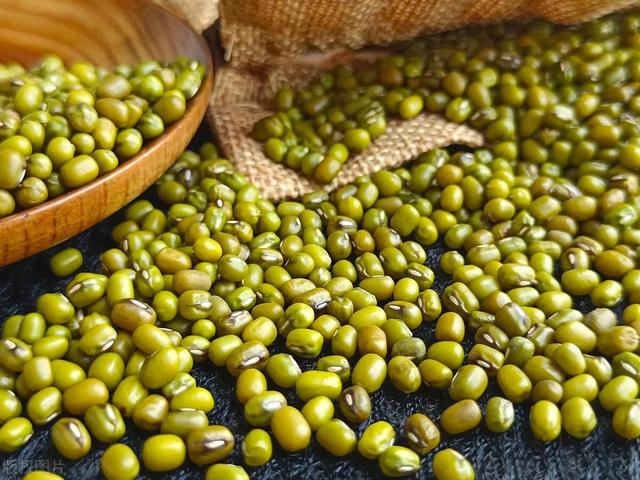 缅甸绿豆产区分布及产量情况