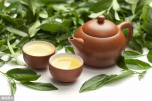 茶的种植(茶叶的种植技术分析及管理策略，保证茶叶的健康生长和优质增产)
