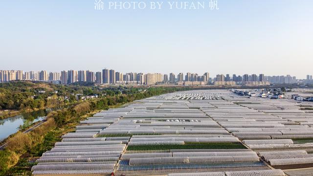 潼南桂林，重庆最美的蔬菜基地之一，你吃的蔬菜可能就来自这里