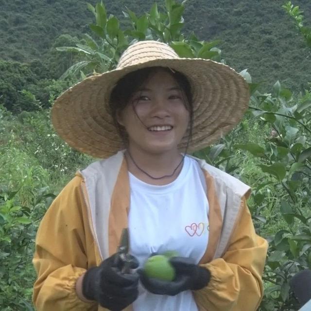 兴华村：引进泰国青柠特色种植，持续发展产业巩固脱贫成果