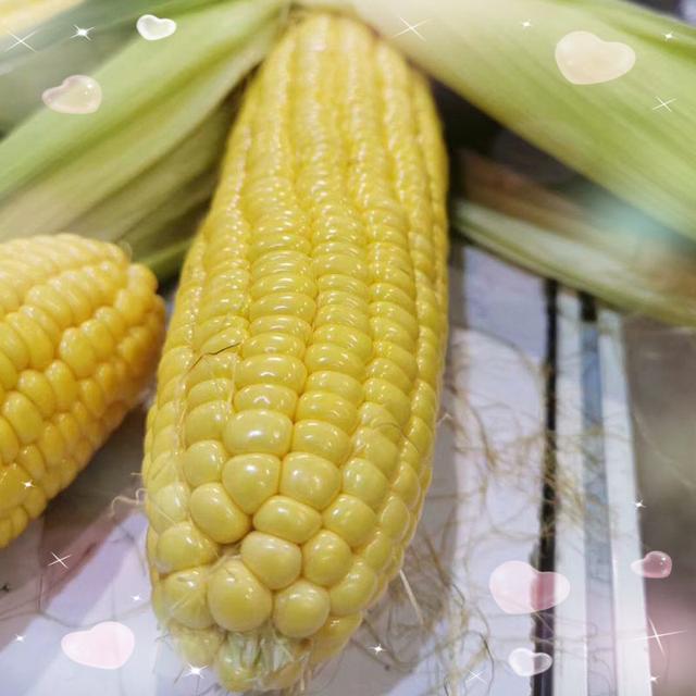 这玉米种，口感超甜，适应性超广，多地现在就能种！快看有你家吗
