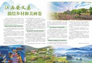 南京金果蓝莓种植基地(江西安义县 描绘乡村和美画卷)