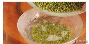 绿豆芽菜的种植方法(农村人教你在家里培育绿豆芽，3天就可以食用，方法一听就会)