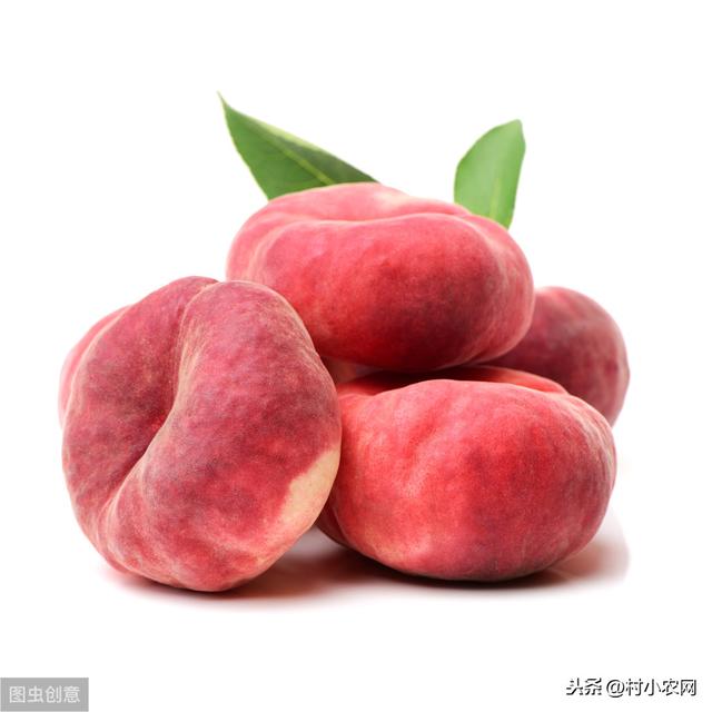 蟠桃营养丰富，很多人都爱吃，高产优质蟠桃又如何种吗？
