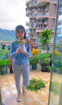 城市种植花卉(贵州女孩花1周工资建阳台花园，20多种花草齐爆花，治愈生活的苦)