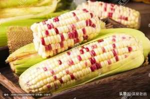 春糯玉米的种植方法(《玉米高产种植》讲座第八讲：糯玉米前伸、后延、分期种植技术)