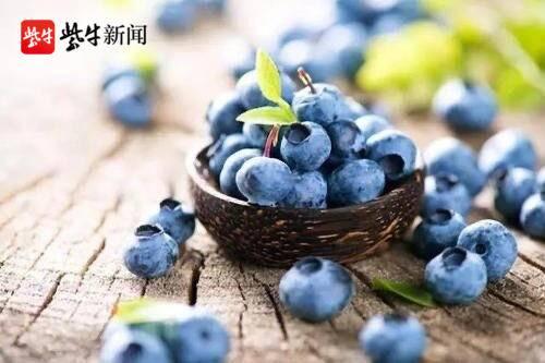 邀您赴溧共享“莓”好时光！2021“蓝莓之夏”白马乐活嘉年华周五来袭