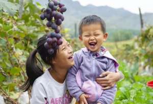中国中原地区种植葡萄始于哪个朝代(你知道葡萄、核桃和“黑暗”香菜这些食材都是怎么进入中国的吗？)