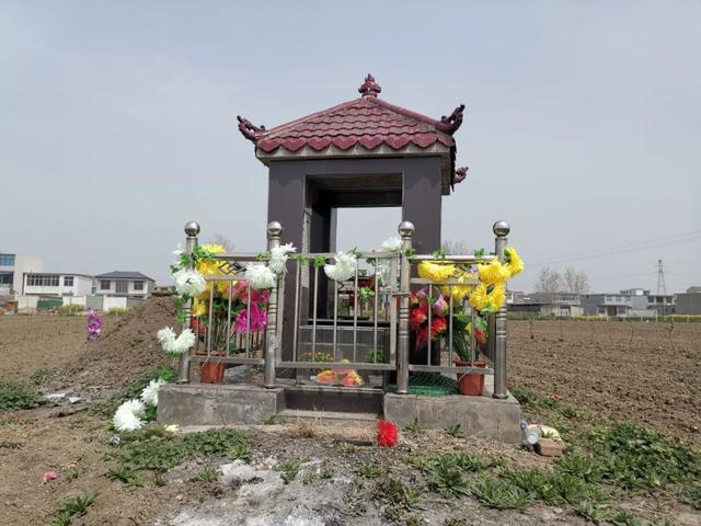 安徽亳州部分麦田“长”出豪华墓，有的成本超10万元