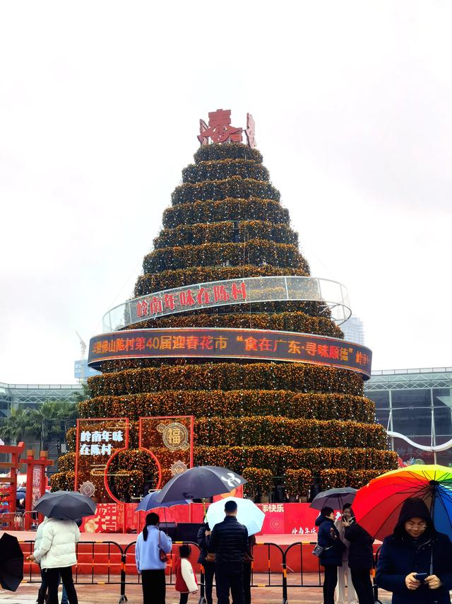 苹果树也搬出来卖 广东人春节之狂野