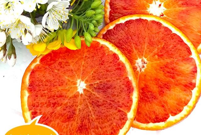 新系塔罗科血橙高效栽培关键技术
