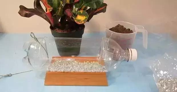 一个塑料瓶，让您在自家阳台种出新鲜蔬菜