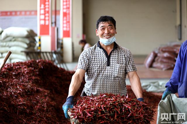 贵州遵义：“一城三园”新格局助推辣椒产业“辣出圈”