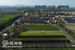 台湾什么地方种植水稻(你见过杭州西湖区内种植水稻吗？就在杭州三墩“兰里景区”)