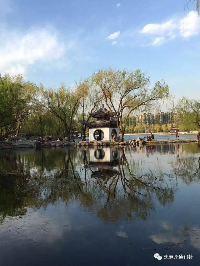 北京月季地图，这11处将办文化节！