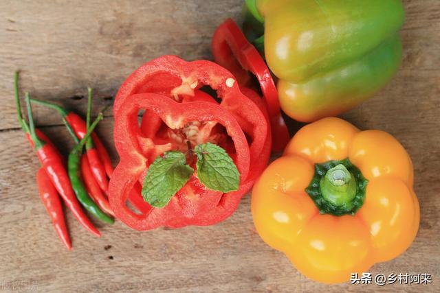 农村种植辣椒品种与特点大汇总，建议大家收藏备用