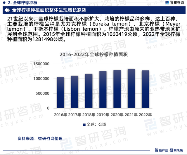 2023年中国柠檬行业市场投资前景分析报告—智研咨询