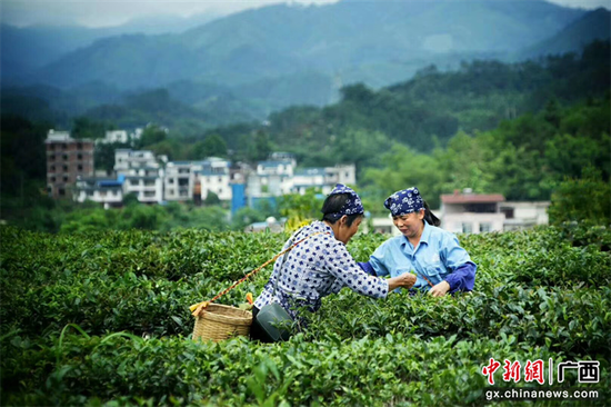 广西6家企业入选首批国家现代农业全产业链标准化示范基地创建单位