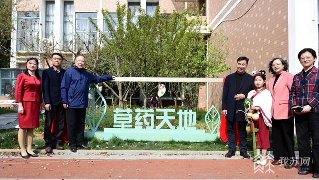 中医药文化进校园 南京这所小学的中草药种植园开园了