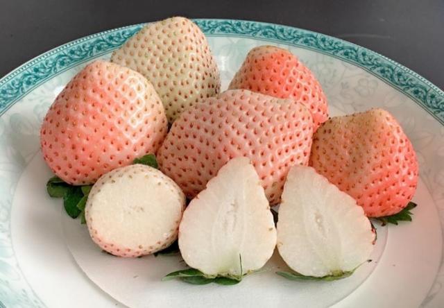 北京地区草莓品种粉玉栽培技术