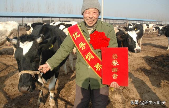 74岁承包荒山种果树养牛，年入一亿零八百万，备受国人尊崇（二）