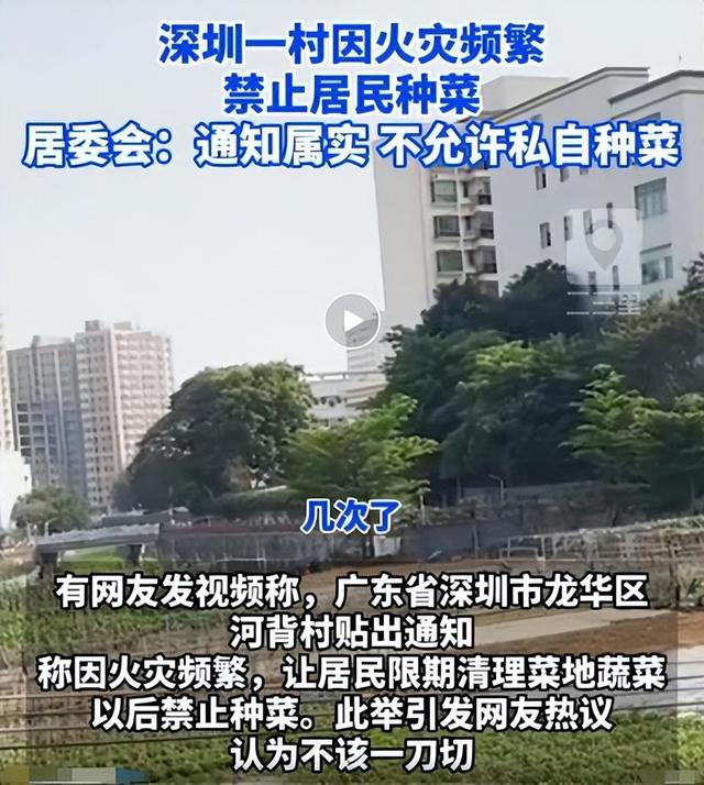 深圳某村发通知称因火灾频繁，居民不得种菜？网友看回应后懂了