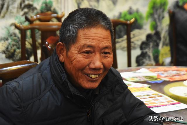 72岁农村大叔，种植反季节蔬菜年入2万元，他有三个种植窍门