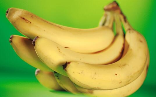 夫妻种植香蕉不一般 试管香蕉成为绿色食品