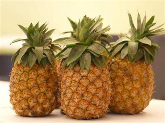 菠萝是什么季节的水果？菠萝2-3年才结果，为何还卖得这么便宜？