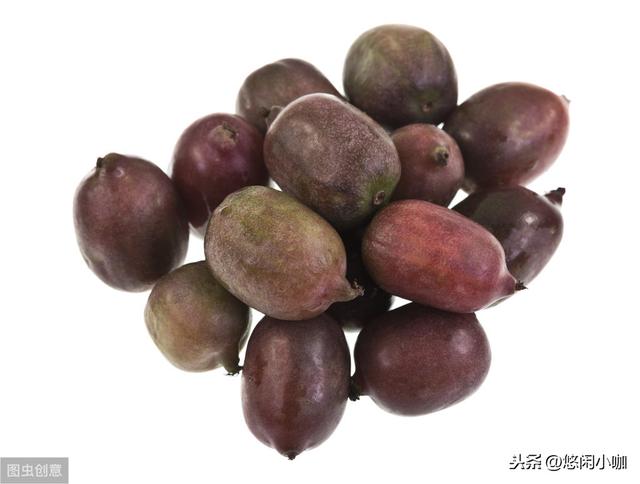 软枣猕猴桃种植方法与技巧，种植水果变得越来越受欢迎会尝试一下