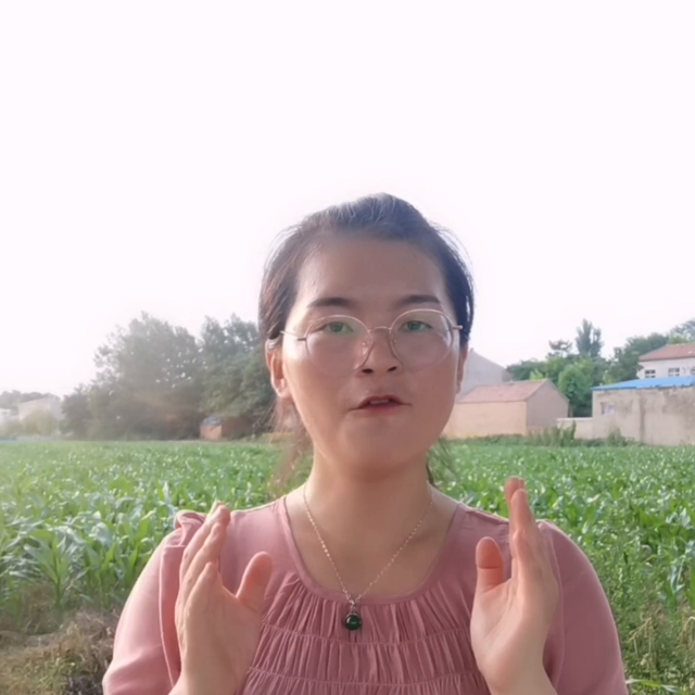 如何种出高产无病害的大葱，这个视频告诉您！#病虫害防治