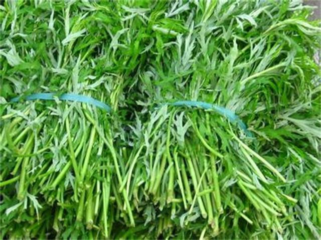吉安市万安县藜蒿的丰产种植技术