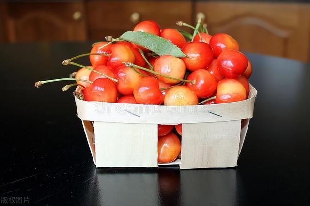 盆栽樱桃种植，如何种出美味又好看的红樱桃