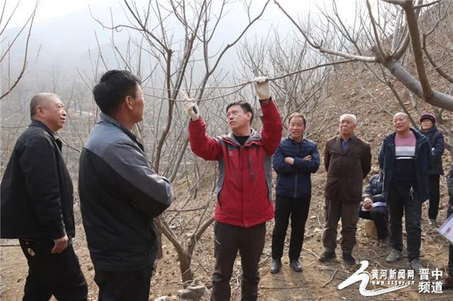 昔阳县孔氏乡举办板栗种植技术培训 助力乡村振兴