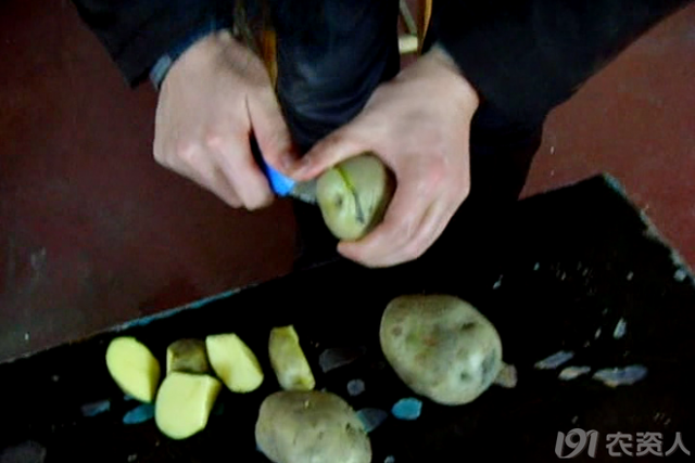 马铃薯主要栽培技术