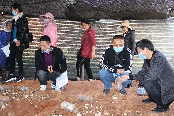 羊肚菌种植培训班在华宁城关社区举办