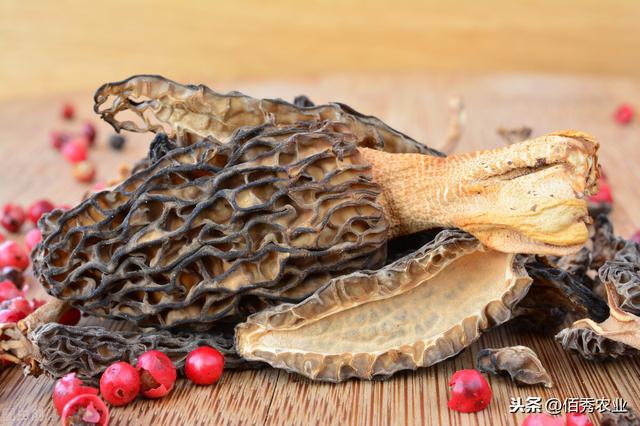 安徽农民种植50亩蘑菇，晒干700元一斤，预计毛收入140万
