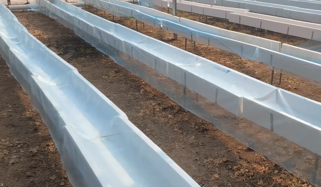 水培种植瓜果蔬菜，学会种植槽的搭建技巧，省钱又省工