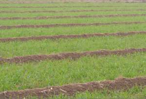 种植小麦的气候条件(种小麦，如何提高产量？农户学会1个配方，防冻又增产)