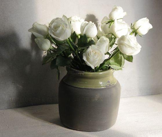 养花若要讲情调，就试着养盆“白玫瑰”，有一种纯洁美，还很好养