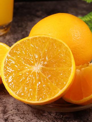 高品质柑橘品种红美人高效栽培关键技术