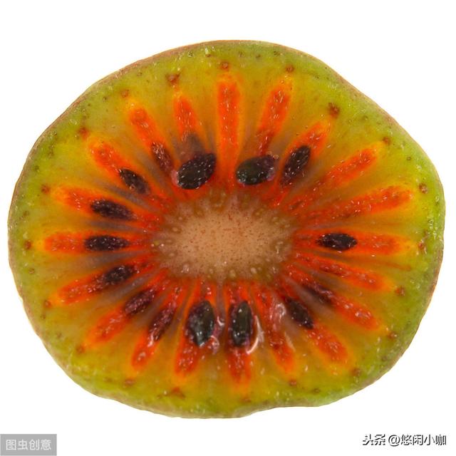 软枣猕猴桃种植方法与技巧，种植水果变得越来越受欢迎会尝试一下