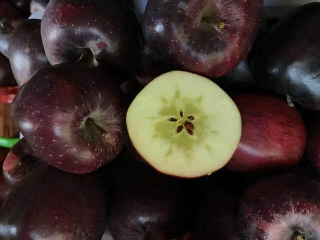 黑钻苹果，新的致富果？它的优势和种植要点，我来告诉你