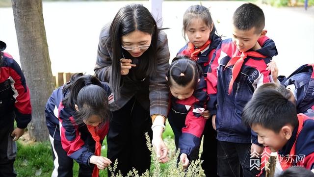 中医药文化进校园 南京这所小学的中草药种植园开园了