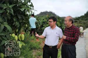 柚子种植成本(五十亩果园，年入百万，这样的效益符合你的期望吗？)