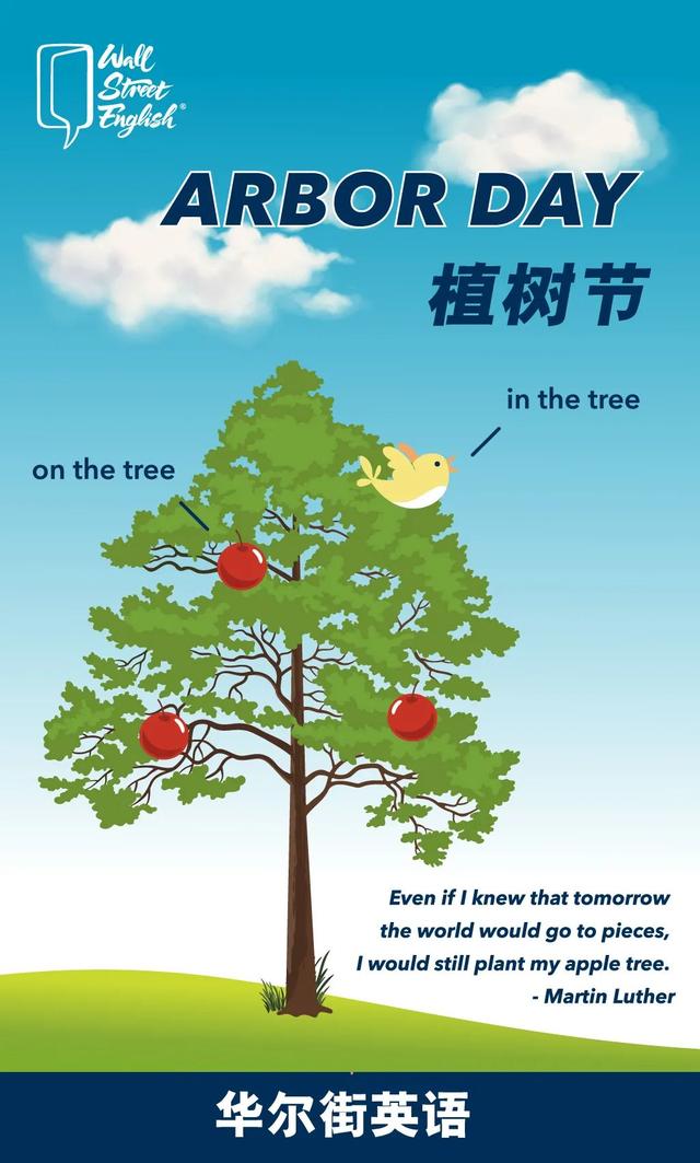 为什么不能说bird on the tree？