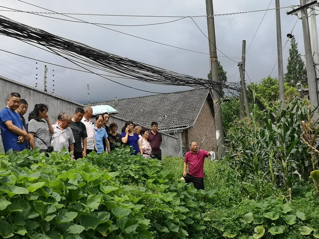 彭州市龙门山镇老科协举办黄连种植和科学施肥、植保实用技术培训班