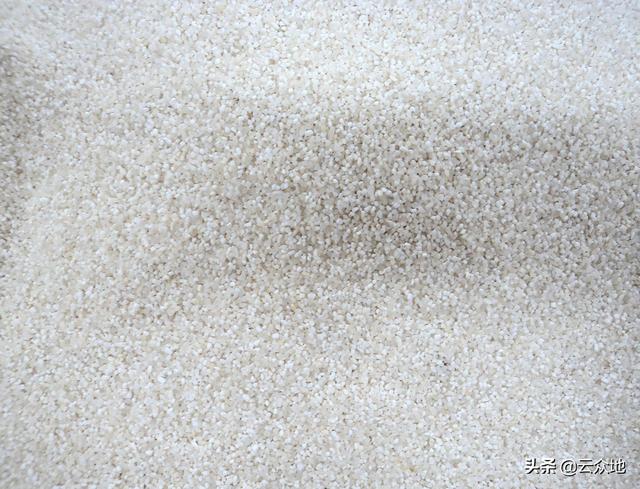 加工稻米后的米糠、碎米、稻壳去哪了？合理利用，能变废为宝